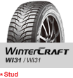 go wintercraft wi31